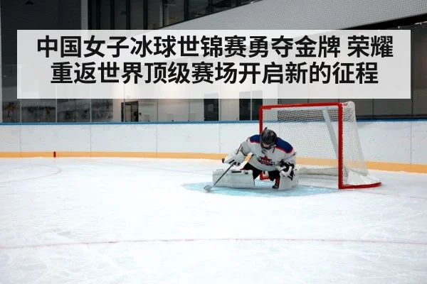 ice hockey goaltender save